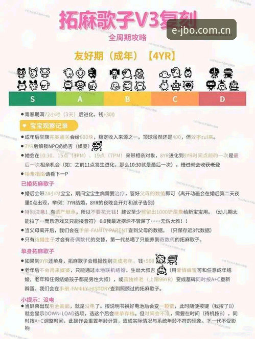 老玩家亲述：竞博体育官网V3入口到底怎么用才省心